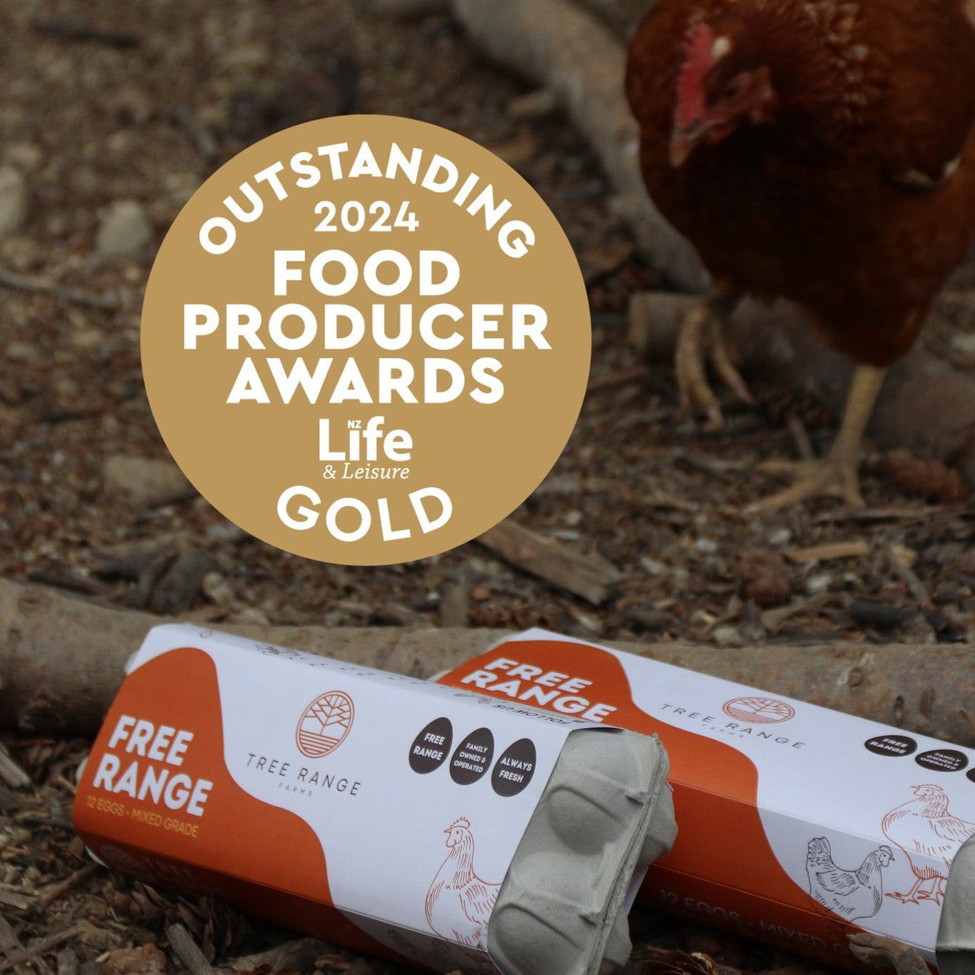 Gold medal winning local free range eggs in Alexandra, Central Otago