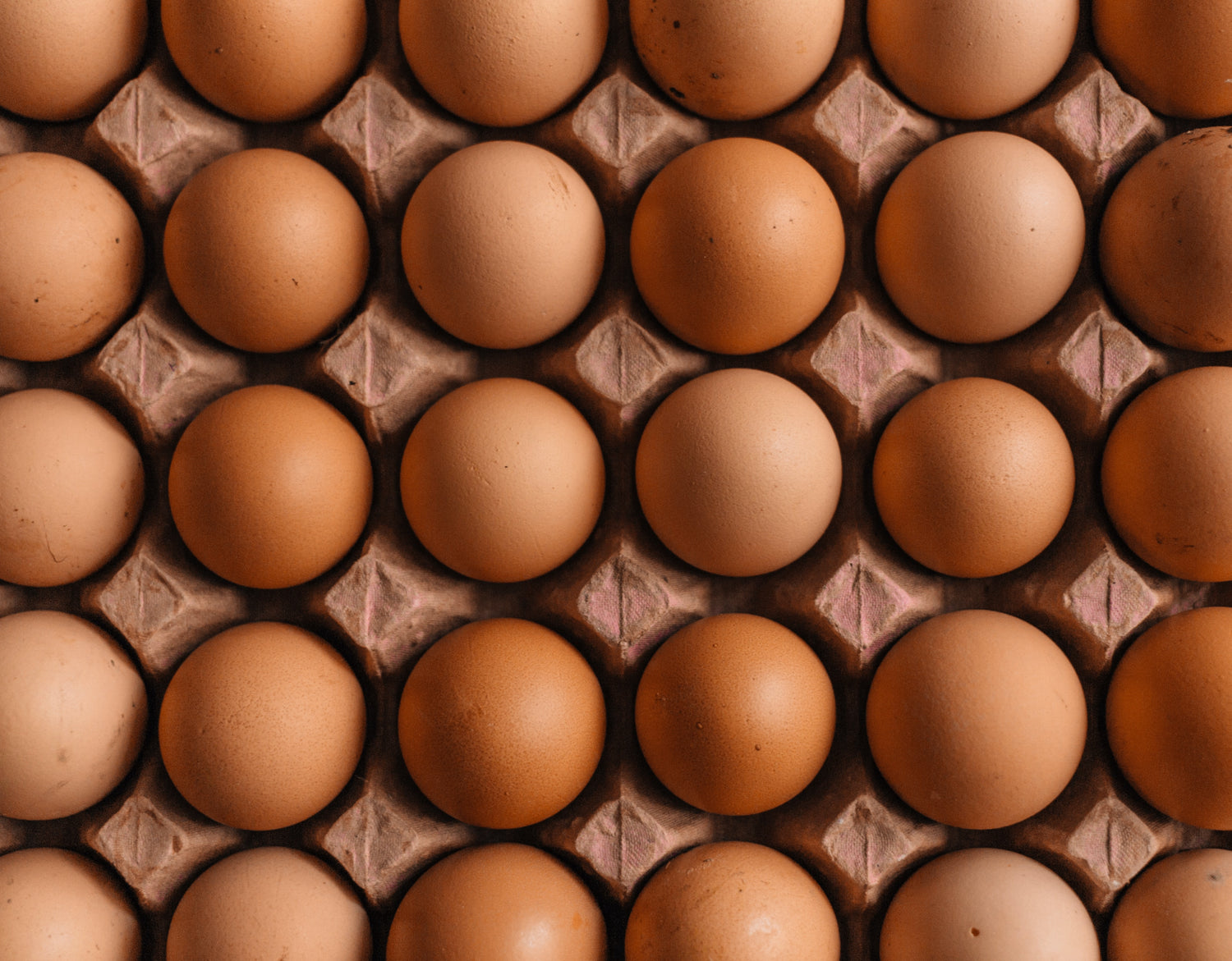 A tray of commercial eggs going to local cafes and restaurants in Alexandra and Clyde, Central Otago, NZ. Tree Range Poultry.