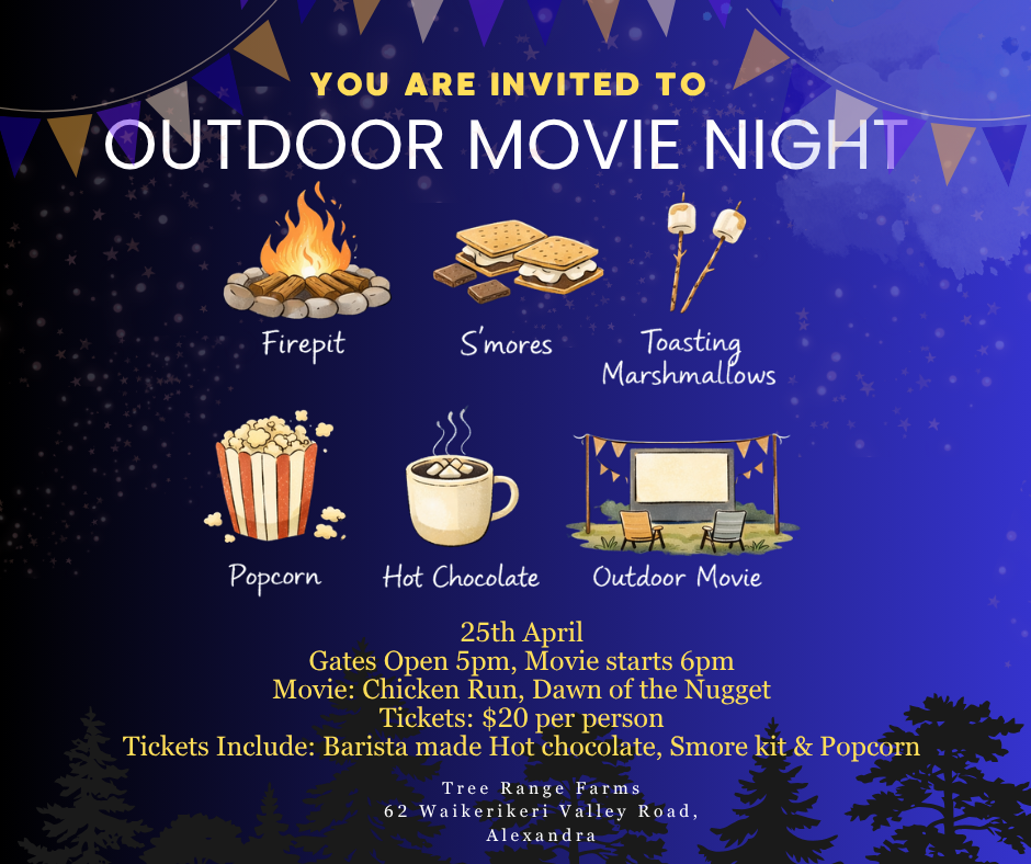 Movie Night Ticket