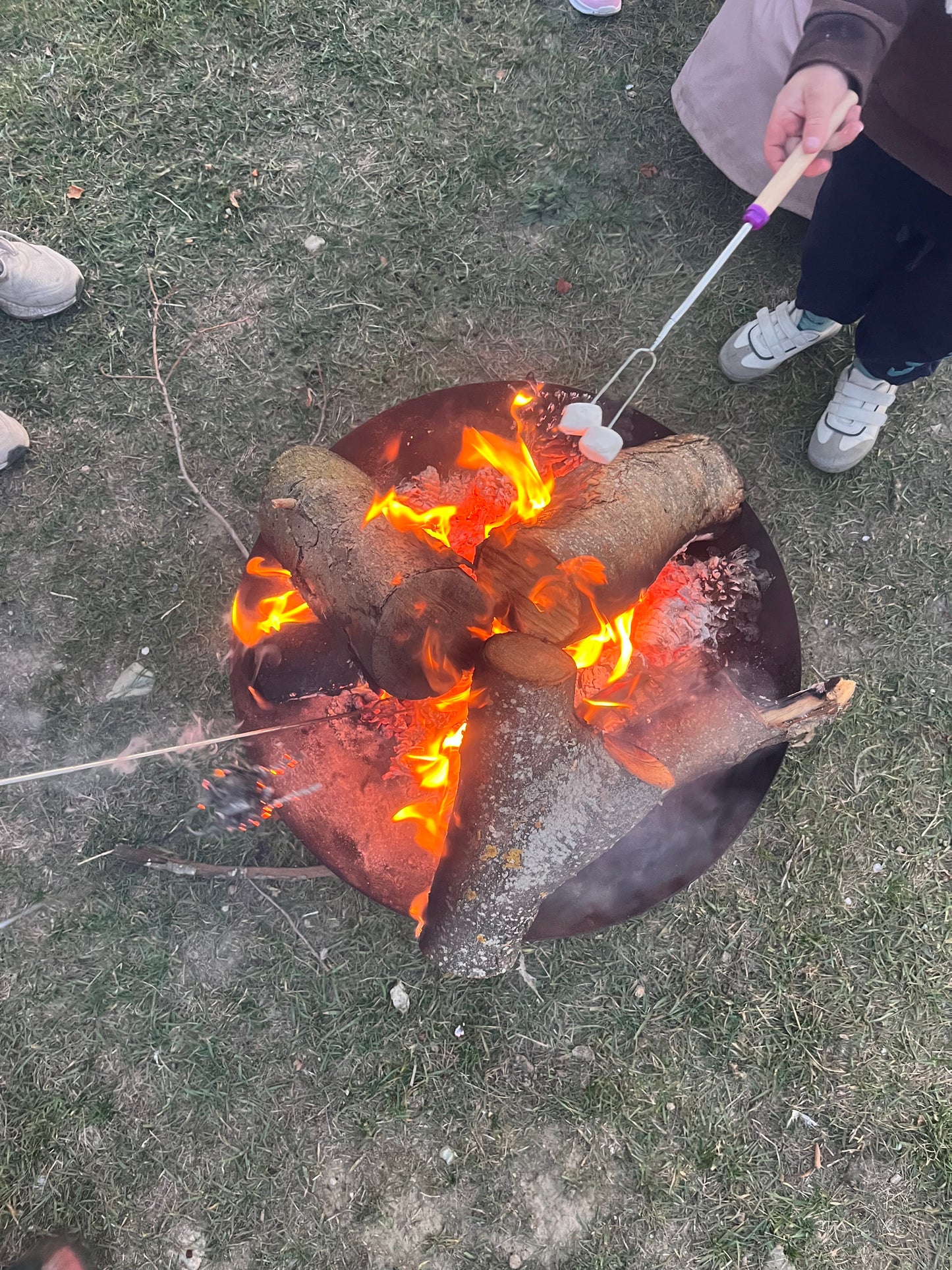 Evening Party - Outdoor Movie, Fire Pits and Marshmallows