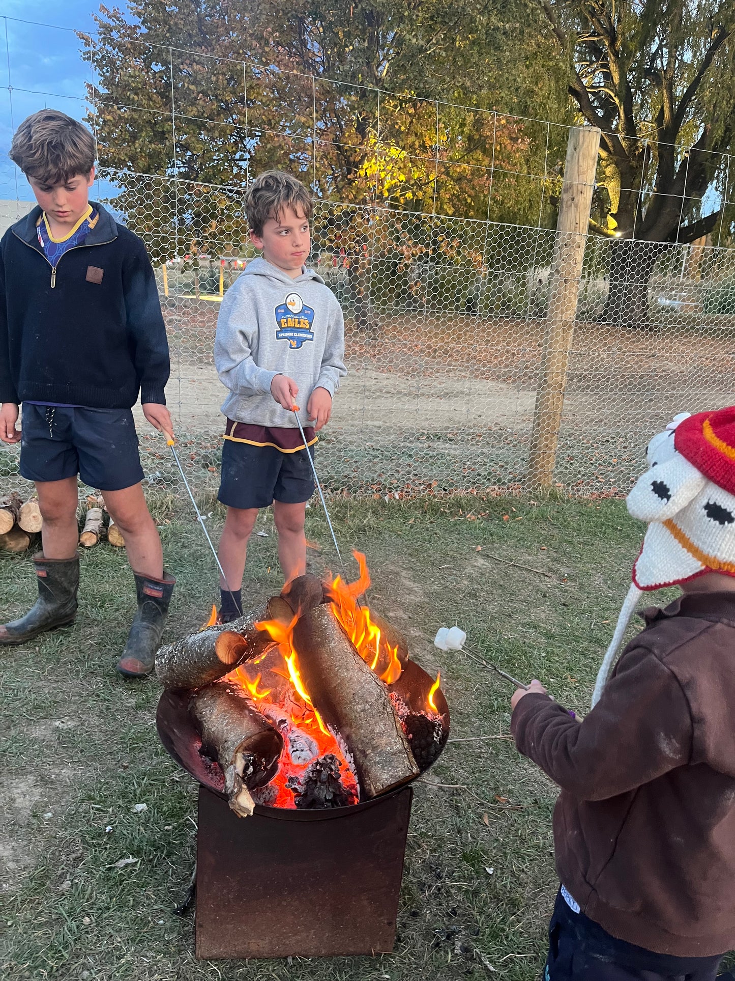 Evening Party - Outdoor Movie, Fire Pits and Marshmallows