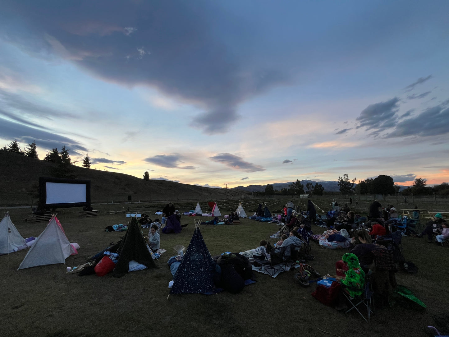 Evening Party - Outdoor Movie, Fire Pits and Marshmallows