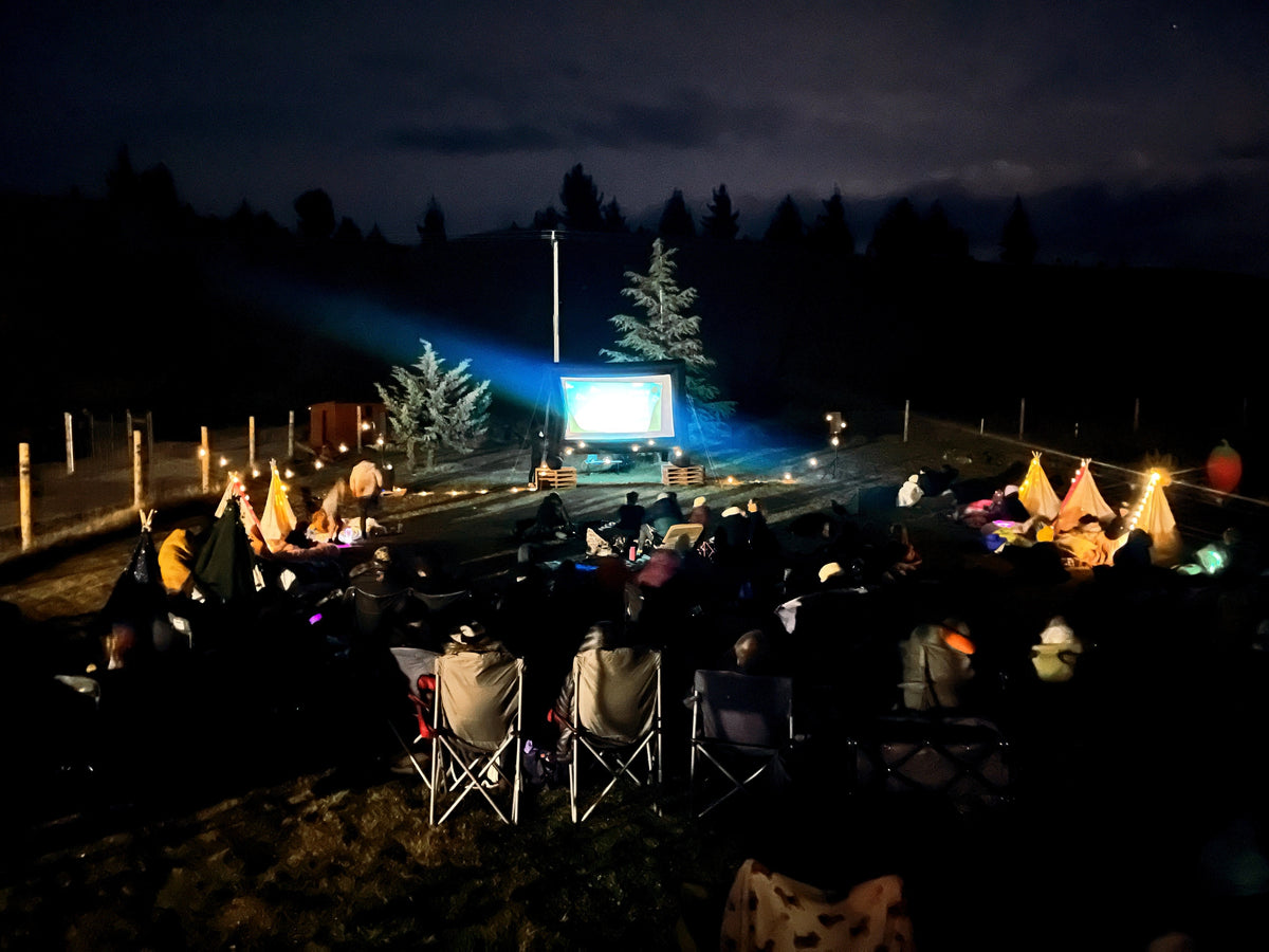 Evening Party - Outdoor Movie, Fire Pits and Marshmallows