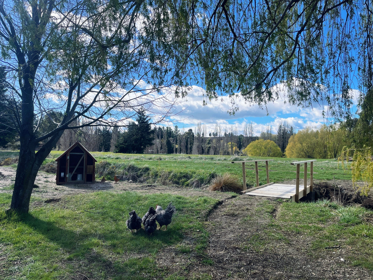 Tree Range Farms Powered Site