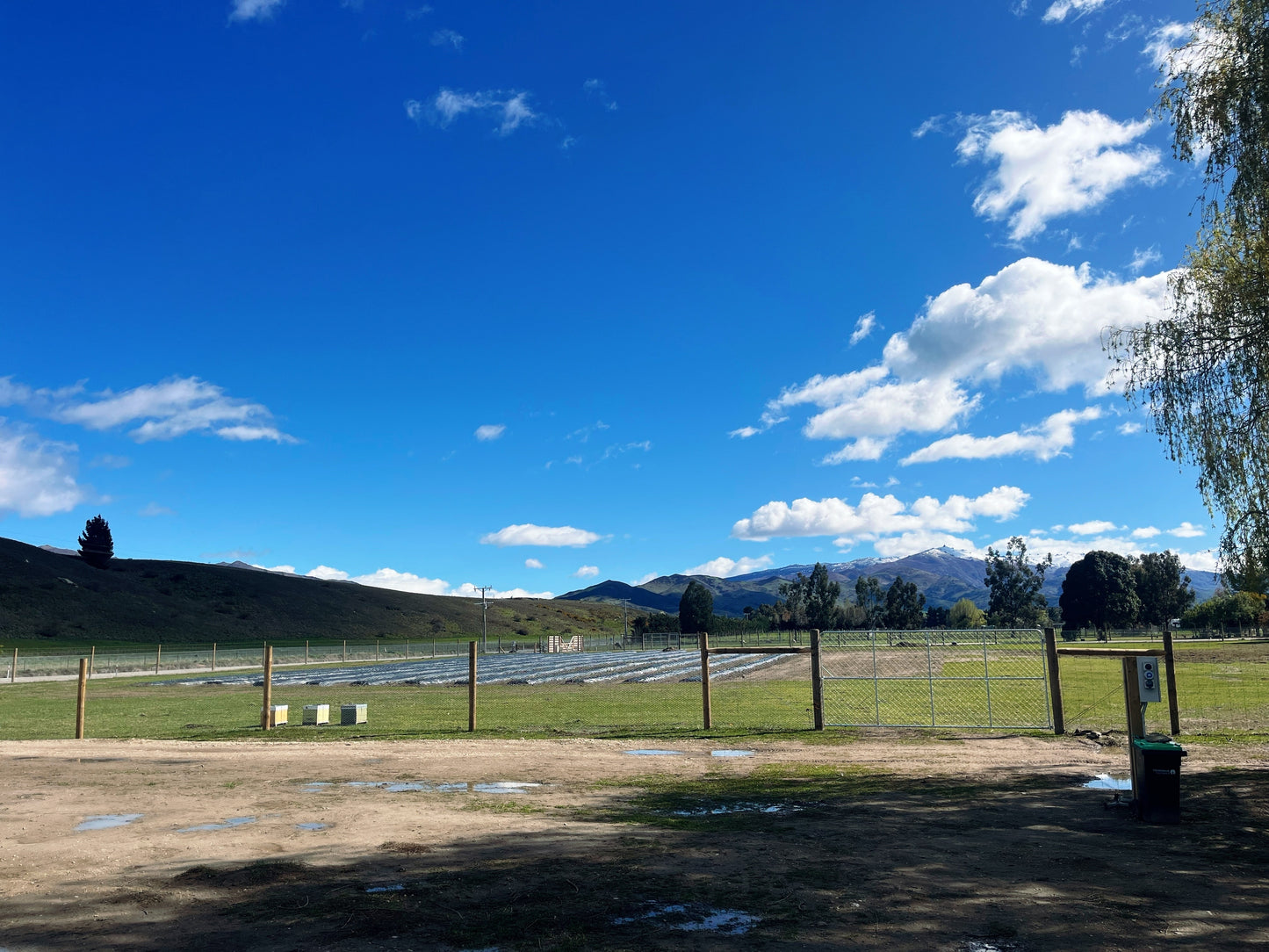 Tree Range Farms Powered Site