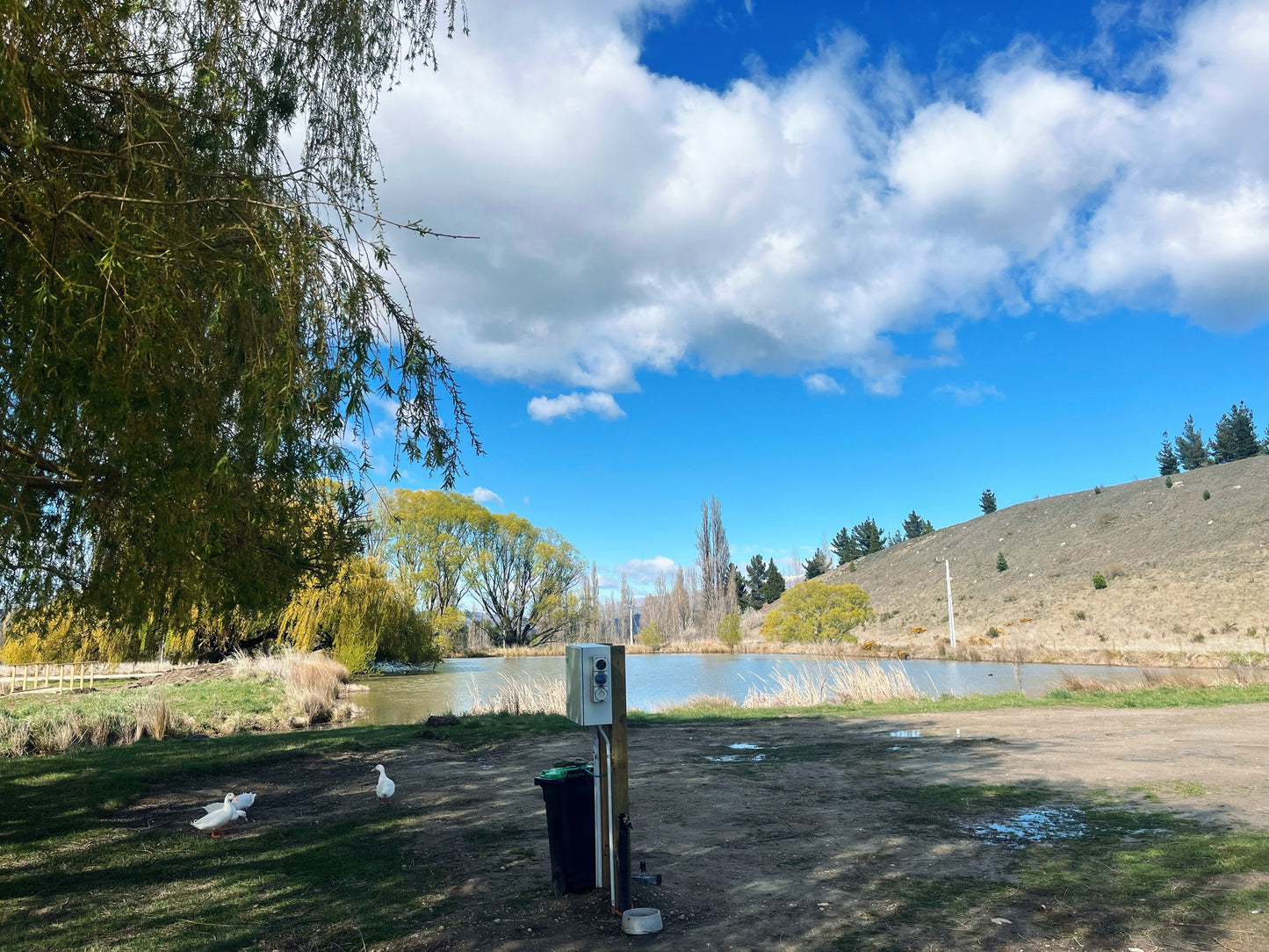 Tree Range Farms Powered Site