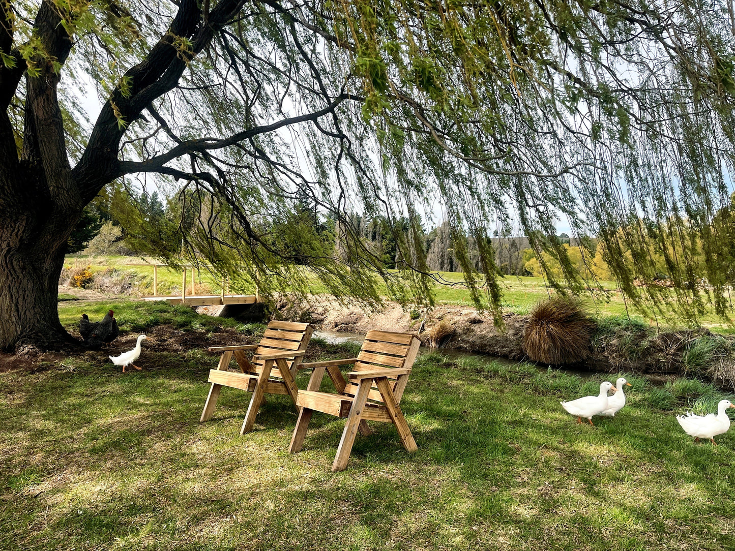 Tree Range Farms Powered Site