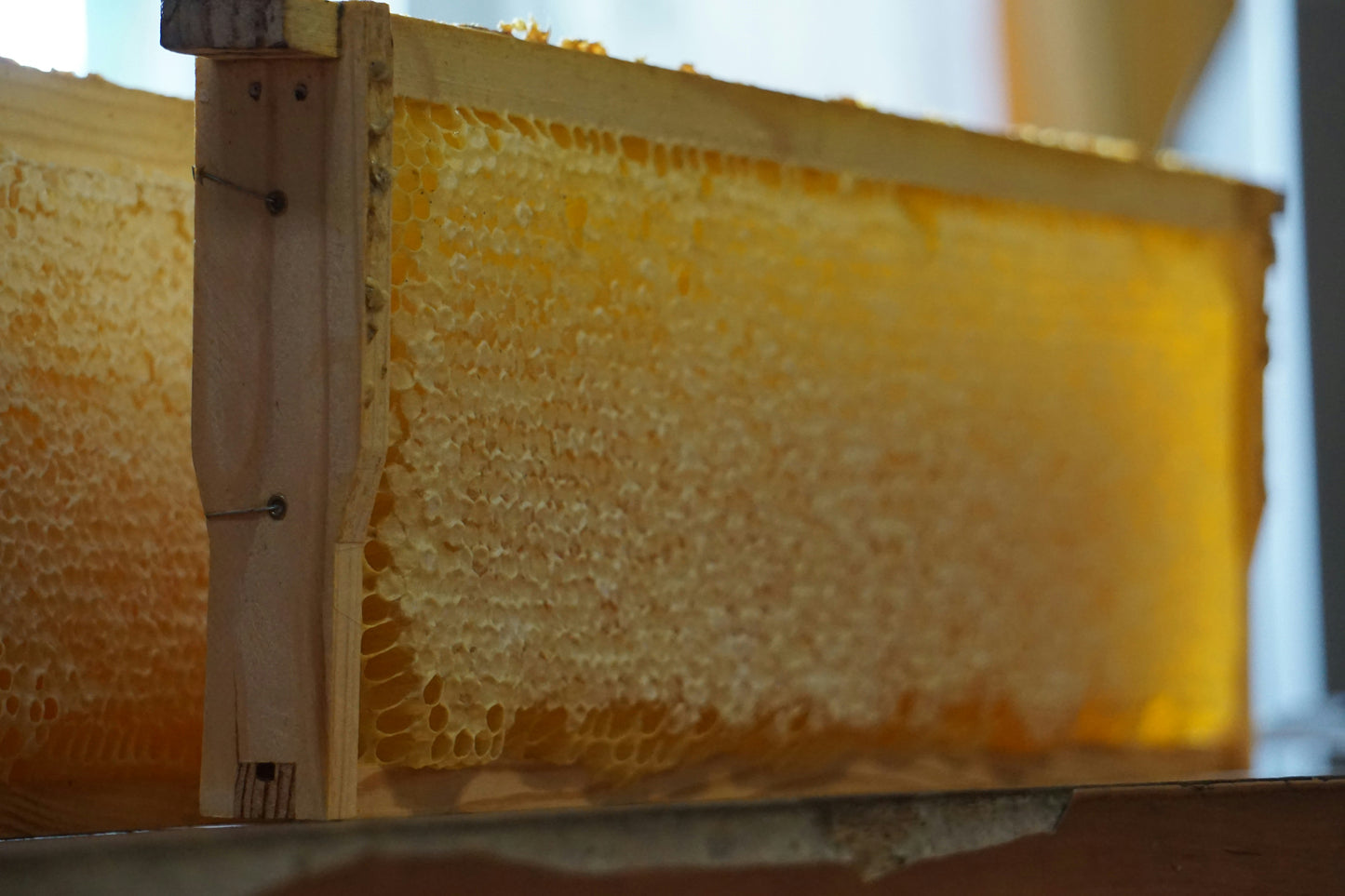 Tree Range Honey Soap